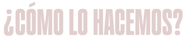 ¿COMO LA HACEMOS?