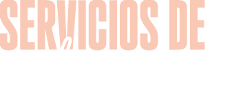 Servicios de Branding